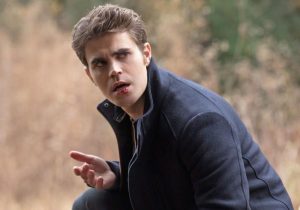 tvd-813-stefan